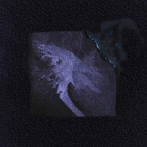 男人和女人日皮视频
