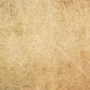 男人和女人日皮视频
