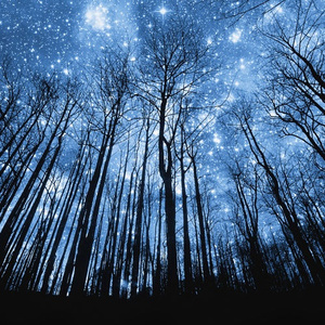 男人和女人日皮视频
