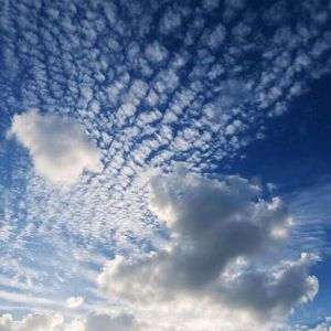 男人和女人日皮视频
