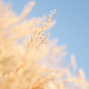 男人和女人日皮视频
